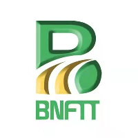 BNFTX Token